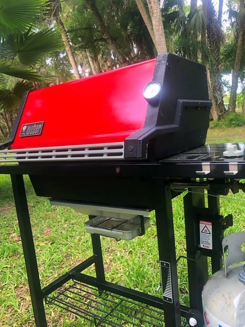 20-Year-Old Weber Grill Restored | Florida Native Grill Cleaning